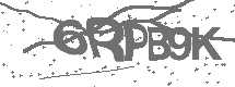 CAPTCHA Image