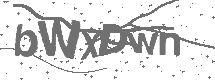 CAPTCHA Image