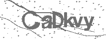 CAPTCHA Image