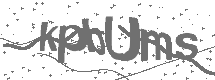 CAPTCHA Image