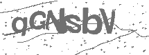 CAPTCHA Image