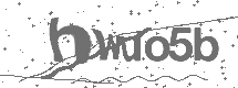 CAPTCHA Image