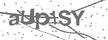 CAPTCHA Image