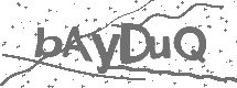 CAPTCHA Image
