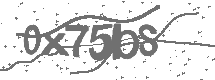 CAPTCHA Image