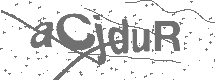CAPTCHA Image