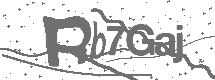 CAPTCHA Image