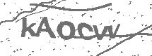 CAPTCHA Image