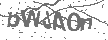 CAPTCHA Image