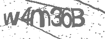 CAPTCHA Image
