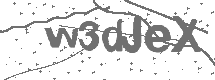 CAPTCHA Image