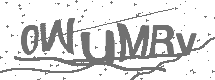 CAPTCHA Image