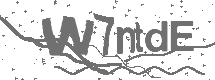 CAPTCHA Image