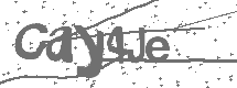 CAPTCHA Image