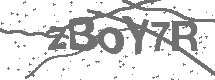 CAPTCHA Image