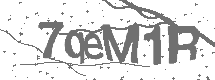 CAPTCHA Image