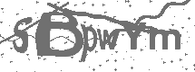 CAPTCHA Image