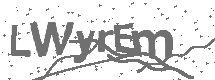 CAPTCHA Image