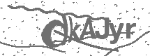 CAPTCHA Image