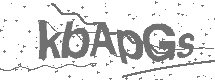 CAPTCHA Image