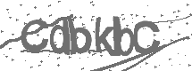 CAPTCHA Image