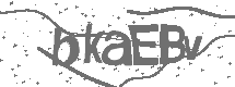 CAPTCHA Image