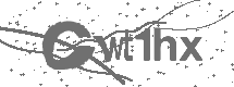 CAPTCHA Image