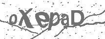 CAPTCHA Image