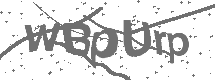 CAPTCHA Image