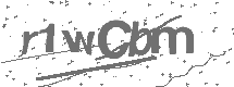 CAPTCHA Image
