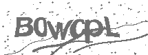 CAPTCHA Image