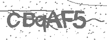 CAPTCHA Image