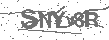 CAPTCHA Image