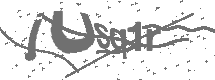CAPTCHA Image