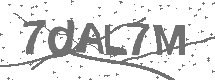 CAPTCHA Image