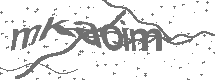 CAPTCHA Image
