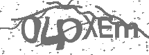 CAPTCHA Image
