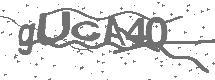 CAPTCHA Image