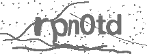 CAPTCHA Image