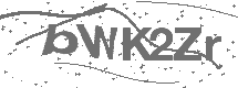 CAPTCHA Image