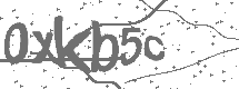 CAPTCHA Image