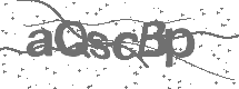 CAPTCHA Image