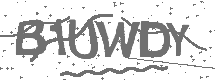 CAPTCHA Image