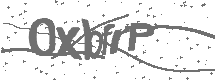 CAPTCHA Image
