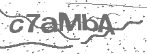 CAPTCHA Image