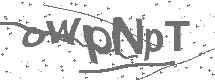 CAPTCHA Image