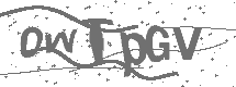 CAPTCHA Image