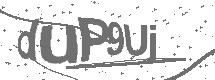 CAPTCHA Image