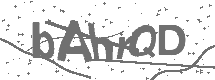 CAPTCHA Image