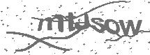 CAPTCHA Image